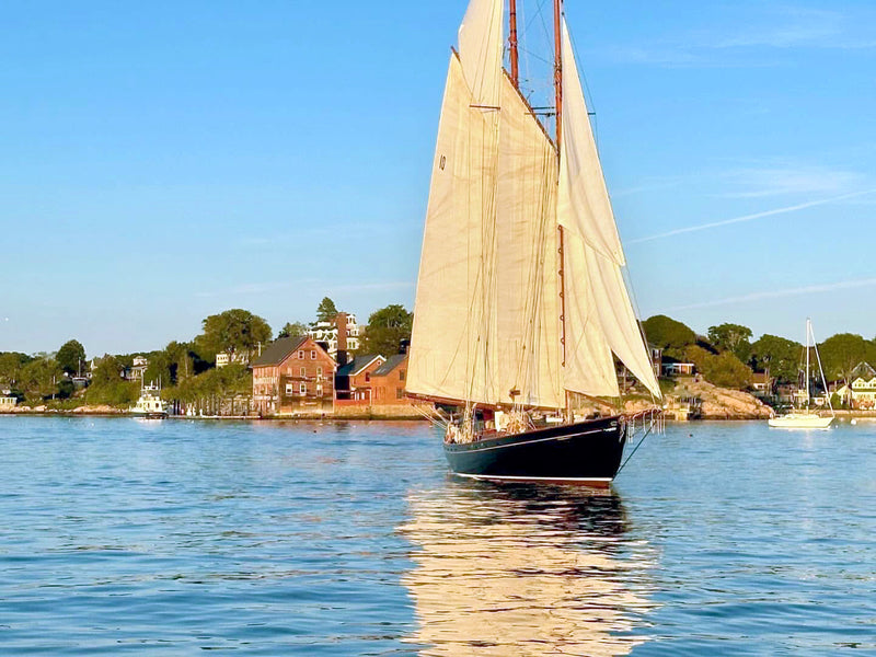 Boats: Malabar X